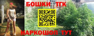 тгк Будённовск