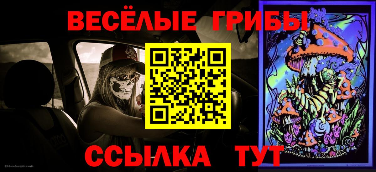 Галлюциногенные грибы Psilocybine cubensis Ухта